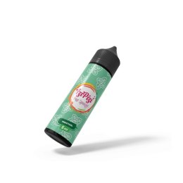 Longfill IZI PIZI Pure Squeezy 5/60ml - Mentol