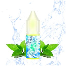 Koncentrat Ice Mint Fruizee - Eliquid France 10ml