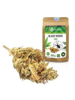 Susz konopny CBD Black Widow 1g - Dr Joint