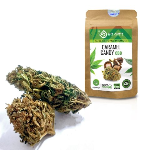 Susz konopny CBD Caramel Candy 1g - Dr Joint Susz konopny CBD Caramel Candy 1g - Dr Joint