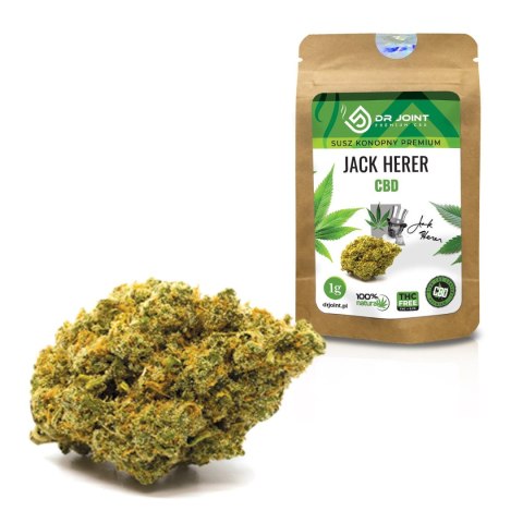 Susz konopny CBD Premium Jack Herer 1g - Dr Joint Susz konopny CBD Premium Jack Herer 1g - Dr Joint