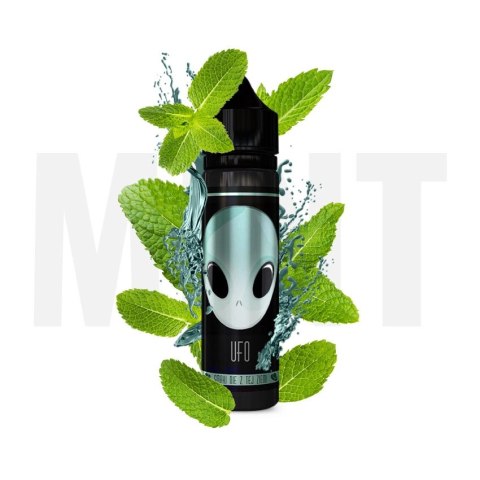 Longfill UFO 10/60ml - Mint