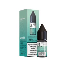 Liquid Hussar Salts 10ml - Świeża Podwójna Mięta 20mg (A25)
