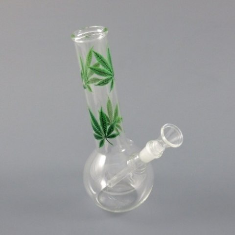 Bongo MULTI LEAF 22cm / 3mm Bongo MULTI LEAF 22cm / 3mm